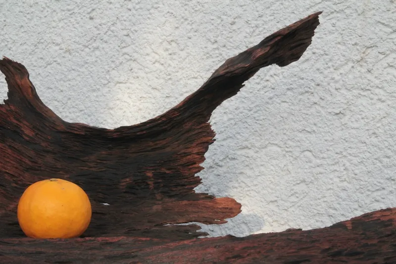 Schale XXL